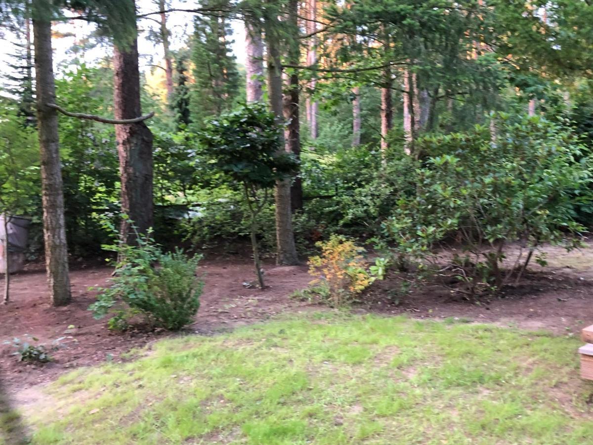 Ferienhaus Reetdach 1300Qm Privatgrundstueck Bootssteg Sauna Templin Luebbesee Uckermark Erholung Pur Seenplatte Petersdorf  Buitenkant foto