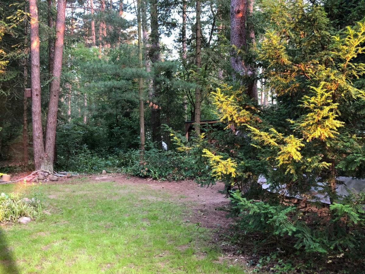 Ferienhaus Reetdach 1300Qm Privatgrundstueck Bootssteg Sauna Templin Luebbesee Uckermark Erholung Pur Seenplatte Petersdorf  Buitenkant foto